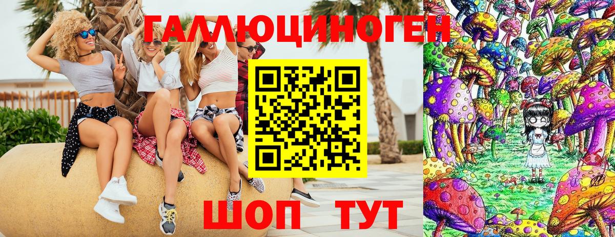 Псилоцибиновые грибы GOLDEN TEACHER Сосновый Бор