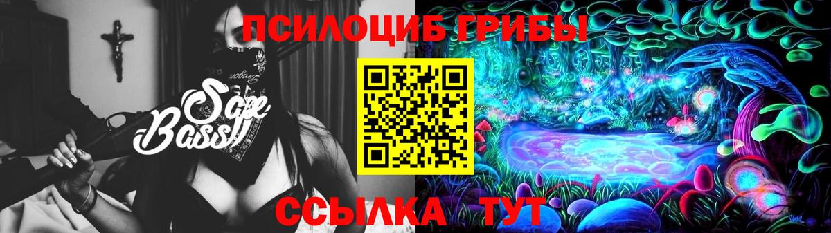 Сосновый Бор  что такое   Вход с VPN  Галлюциногенные грибы Cubensis 