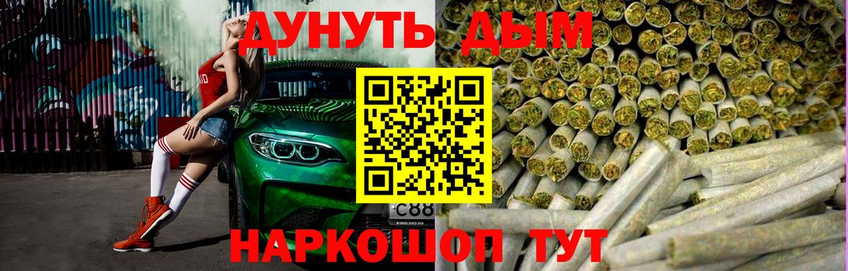 Конопля сатива Сосновый Бор